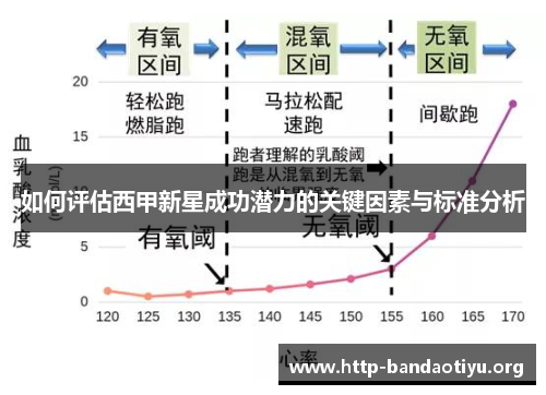 如何评估西甲新星成功潜力的关键因素与标准分析 如何评估西甲新星成功潜力的关键因素与标准分析