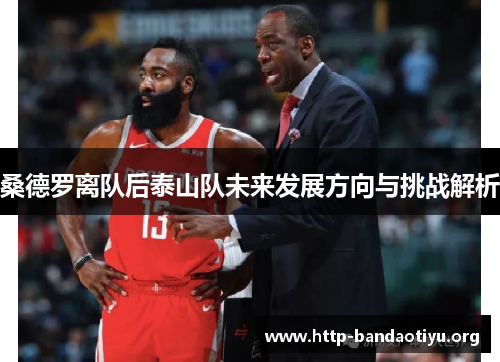 桑德罗离队后泰山队未来发展方向与挑战解析 桑德罗离队后泰山队未来发展方向与挑战解析