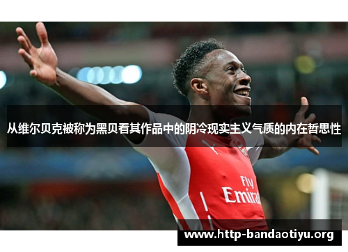 从维尔贝克被称为黑贝看其作品中的阴冷现实主义气质的内在哲思性 从维尔贝克被称为黑贝看其作品中的阴冷现实主义气质的内在哲思性